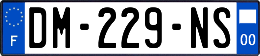 DM-229-NS