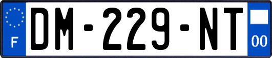 DM-229-NT