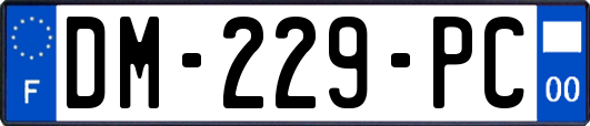 DM-229-PC