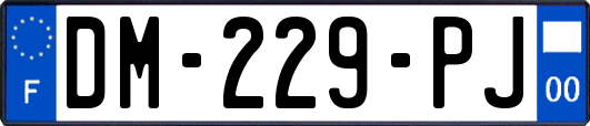 DM-229-PJ