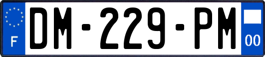 DM-229-PM