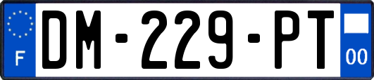 DM-229-PT