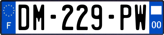 DM-229-PW