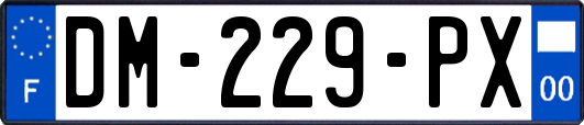 DM-229-PX