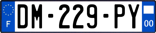 DM-229-PY