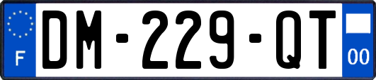 DM-229-QT