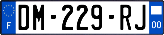 DM-229-RJ