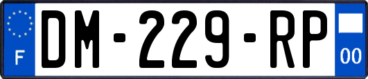 DM-229-RP