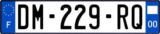 DM-229-RQ