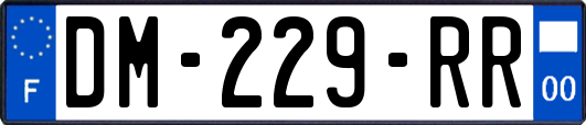 DM-229-RR
