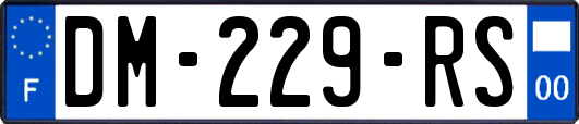 DM-229-RS