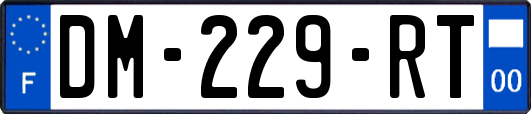 DM-229-RT