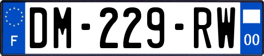 DM-229-RW