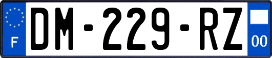 DM-229-RZ