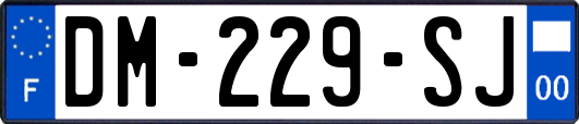 DM-229-SJ