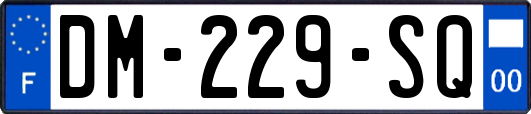 DM-229-SQ