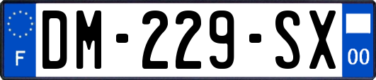 DM-229-SX