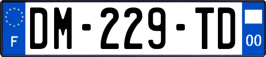 DM-229-TD