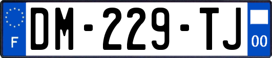 DM-229-TJ