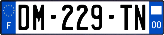 DM-229-TN