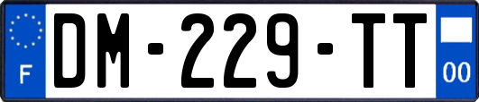 DM-229-TT