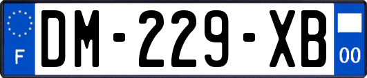 DM-229-XB