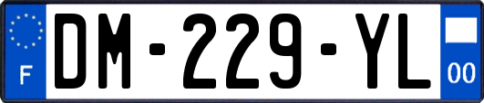 DM-229-YL