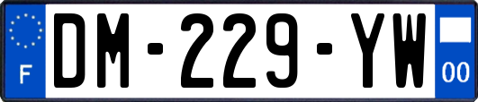 DM-229-YW