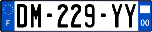 DM-229-YY