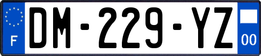 DM-229-YZ