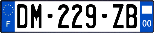 DM-229-ZB