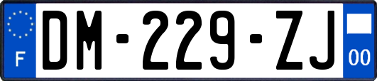 DM-229-ZJ