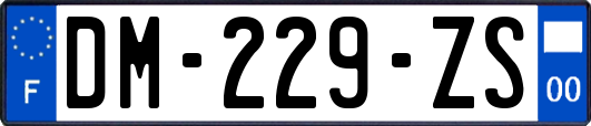 DM-229-ZS