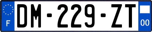 DM-229-ZT