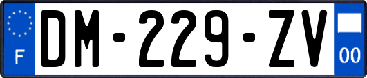 DM-229-ZV