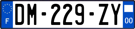 DM-229-ZY