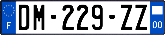 DM-229-ZZ