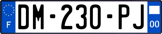DM-230-PJ