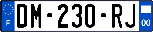 DM-230-RJ