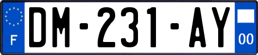 DM-231-AY