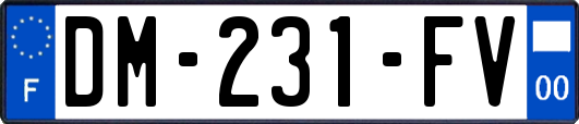 DM-231-FV