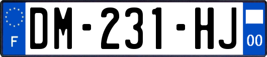 DM-231-HJ