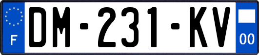DM-231-KV