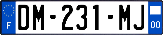 DM-231-MJ