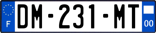 DM-231-MT