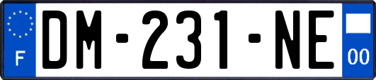 DM-231-NE