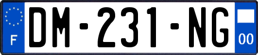 DM-231-NG