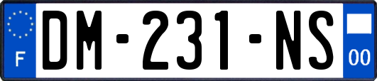DM-231-NS