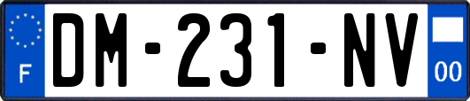 DM-231-NV