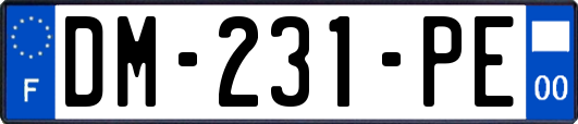 DM-231-PE